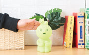 SMISKI Touch Light - Display Ready