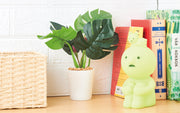 SMISKI Touch Light - Display Ready