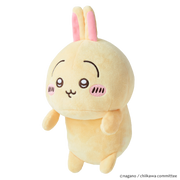 Posture Pal - CHiiKAWA - Fresh Choice