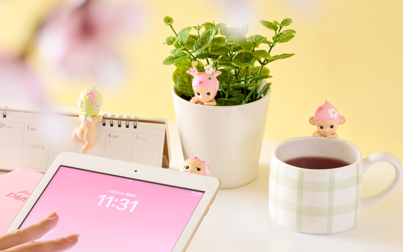 HIPPERS Cherry Blossom Series - Fresh Choice