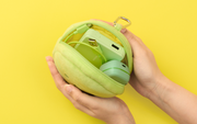 SMISKI Cushion Pouch - Daily Carry