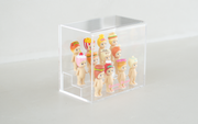 Sonny Angel Acrylic Display Case - Display Ready