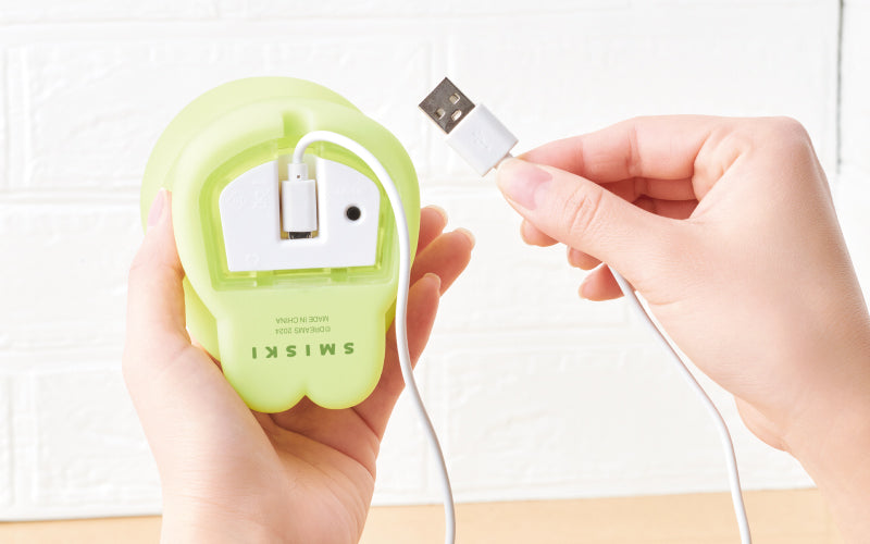SMISKI Touch Light - Display Ready