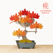 Play Plants Bonsai Puzzles - Simple Pick
